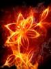 Схема вышивки «Огненый цветок»