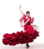 Схема вышивки «Flamenco»