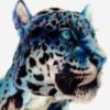 Схема вышивки «Blue Leopard (Pencil Drawing)»