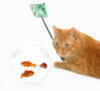 Схема вышивки «Fishing Cat»