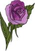 Схема вышивки «Art Nouveau - Rose»