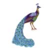 Схема вышивки «Peacock»