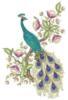 Схема вышивки «Peacock»