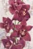 Схема вышивки «Лиловая орхидея»