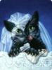 Схема вышивки «Кошечка-невеста»