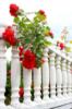 Цветочный балкон: оригинал