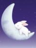 Схема вышивки «Sleeping bunny»