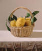 Схема вышивки «Корзинка с лимонами»