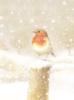 Схема вышивки «Bird in Snow»