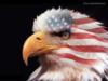 Схема вышивки «Crying American Eagle»