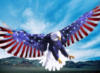 Flag Eagle: оригинал