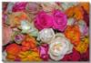 Схема вышивки «Море роз»