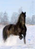 Схема вышивки «Лошадь в снегу»