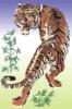Схема вышивки «Японский тигр»