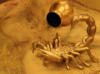 Схема вышивки «Скорпион золотой»