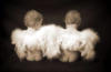 Схема вышивки «Ангелочки»