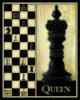Схема вышивки «Шахматная королева_Andrea Lalib»