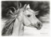 Схема вышивки «Лошадь нарисованая карандашом»