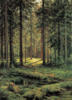 Схема вышивки «Хвойный лес Шишкин»