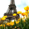 Схема вышивки «Париж Эйфелева башня»