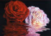 Схема вышивки «Розы в воде»
