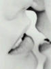 Схема вышивки «Черно-белый поцелуй»