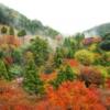 Схема вышивки «Осень в Японии»