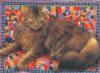 Схема вышивки «Подушка кошки»