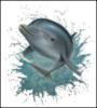 Схема вышивки «Дельфин»