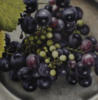 Схема вышивки «Настоящий виноград»