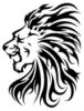 Схема вышивки «Голова льва»