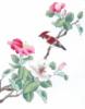 Схема вышивки «Серия"Цветы и птицы"»