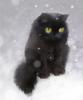 Кот на снегу: оригинал
