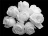 Схема вышивки «Белый розы»