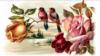 Схема вышивки «Соловей и розы»