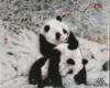 Схема вышивки «Забавные панды»