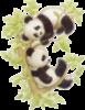 Схема вышивки «Две панды»