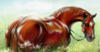 Схема вышивки «Рыжий конь»