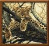 Схема вышивки «Отдыхающий леопард»