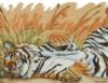 Схема вышивки «Тигриная сиеста»