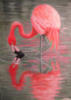 Схема вышивки «Фламинго»