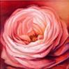 Схема вышивки «Подушка "розовая роза"»