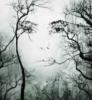Схема вышивки «Лицо девушки в ветвях дерева»