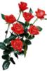 Схема вышивки «7 прекрасных роз»