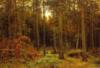 Схема вышивки «Сосновый лес (И.Шишкин)»