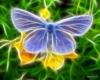 Схема вышивки «Волшебная бабочка»