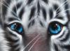 Схема вышивки «Тигриный взгляд»