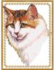 Схема вышивки «Кошкин портрет»