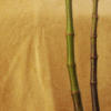 Схема вышивки «Стебли бамбука»