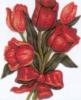 Схема вышивки «Алые тюльпаны»